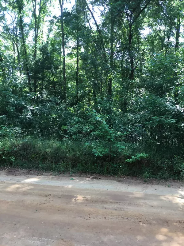 Greenville, FL 32331,TBD AUCILLA PLANTATION Court