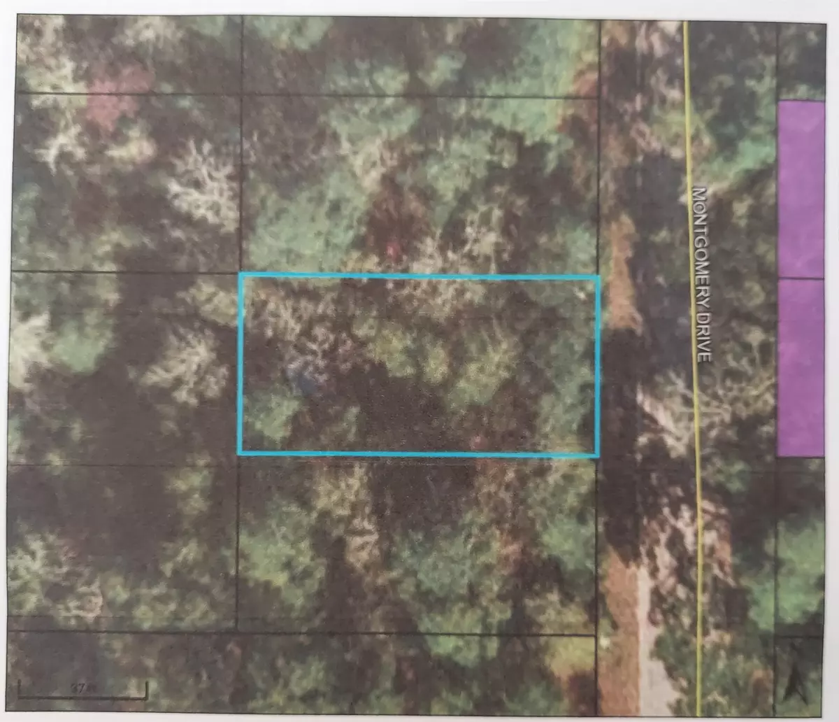 Crawfordville, FL 32327,Lot 5 Montgomery Drive