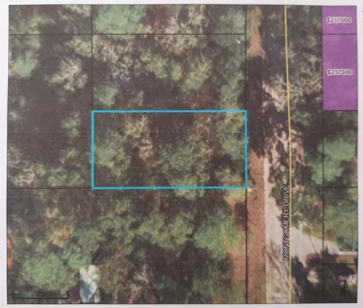 Crawfordville, FL 32327,Lot 6 Montgomery Drive