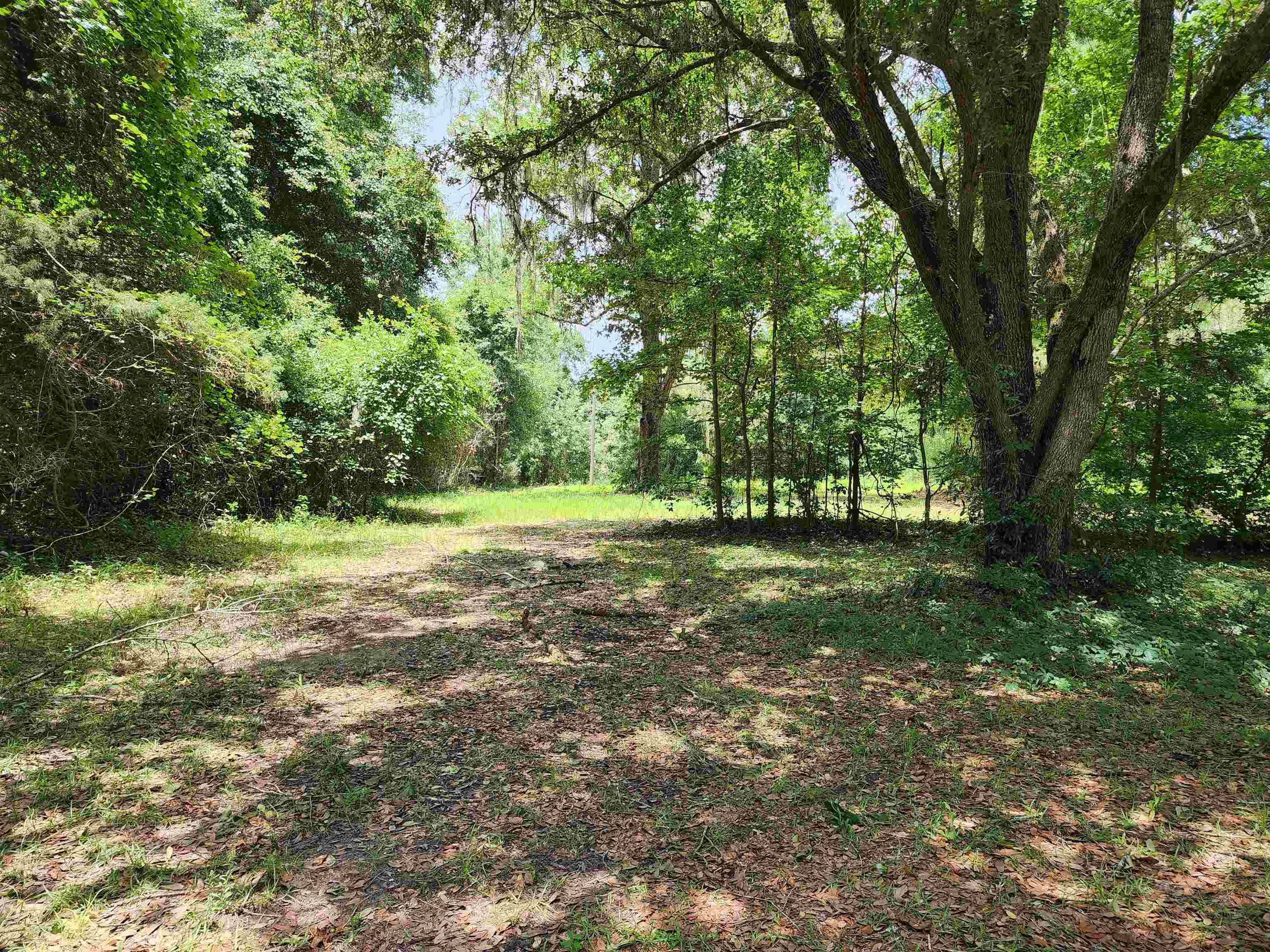 134 NW Reindeer Lane, Greenville, FL 32331