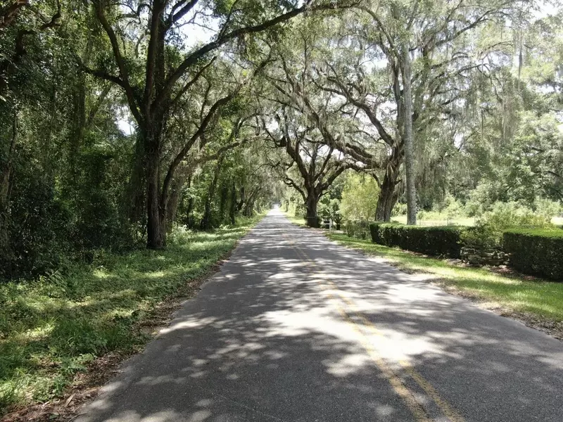 Vacant NE Avocado Street, Madison County, FL 32340