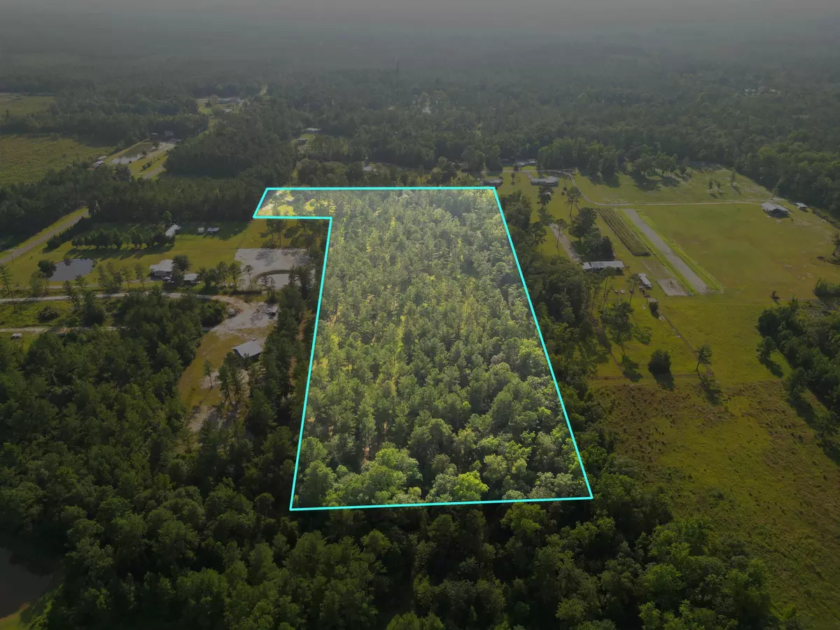 Hosford, FL 32334,XXX NE Arnold Kelly Road