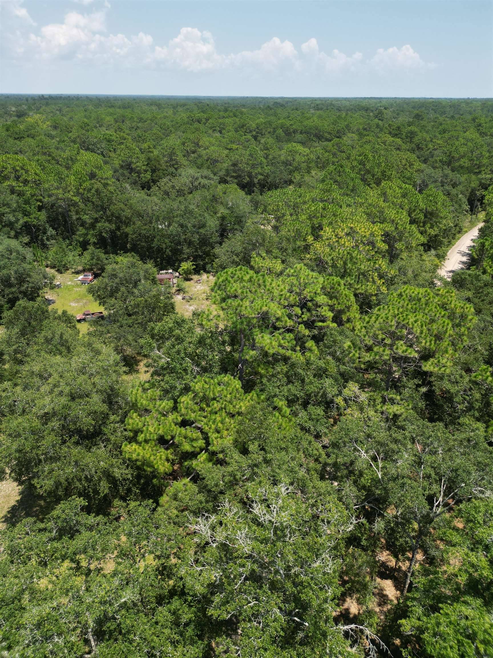 Carter Road, Crawfordville, FL 32327
