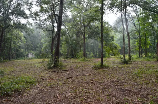 230 W Duckpond Drive, Greenville, FL 32331