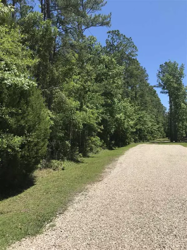 Sopchoppy, FL 32358,xx Big Fish Drive