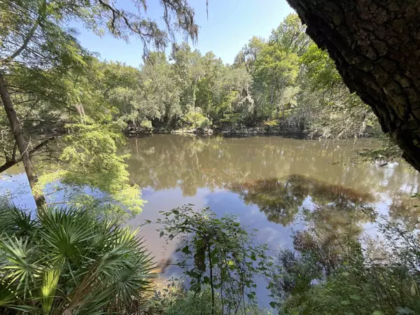 Lee, FL 32059,Vacant NE Madison Bluffs Way