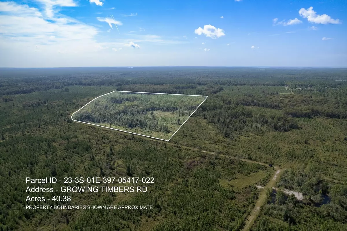 Crawfordville, FL 32327,Lot 22 Growing Timbers Road