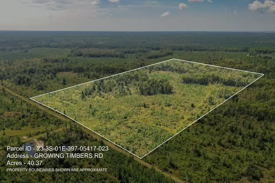 Lot 23 Growing Timbers Road, Crawfordville, FL 32327