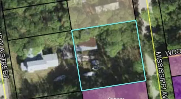 Panacea, FL 32346,xxx Mississippi Avenue