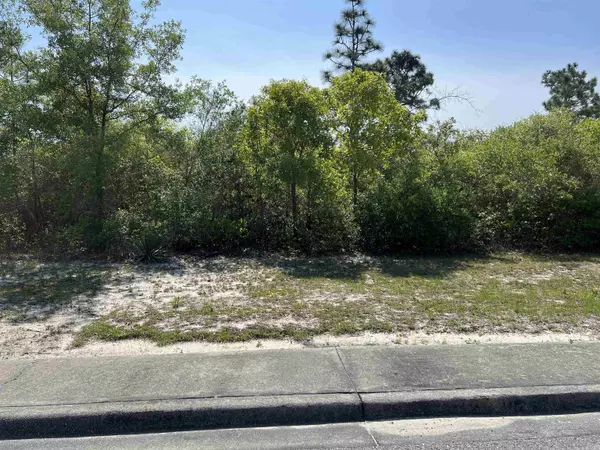 Carrabelle, FL 32323,146 Anhinga Trail