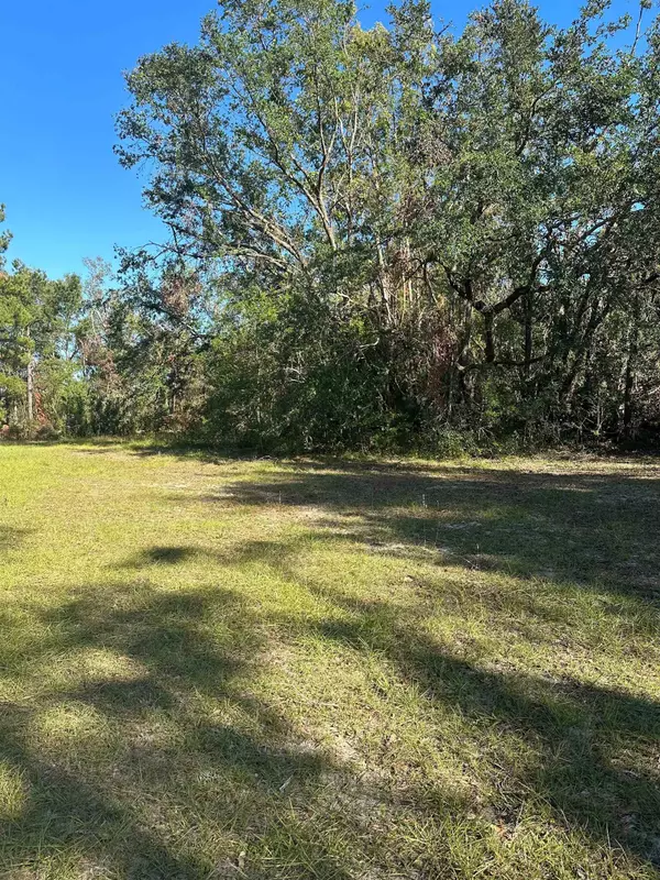 Perry, FL 32347,226 Noah Road