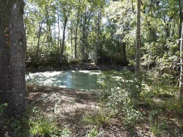 TBD Namon Spears Road, Crawfordville, FL 32327