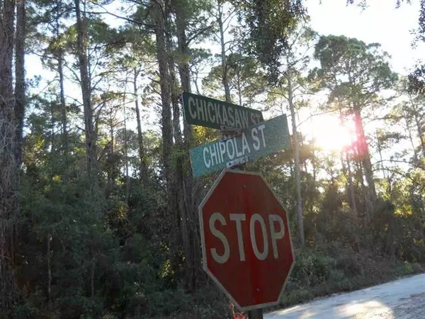 Panacea, FL 32346,xx Chipola Street #-