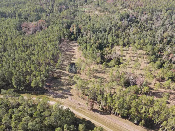 000 SW Pacific Drive, Greenville, FL 32331