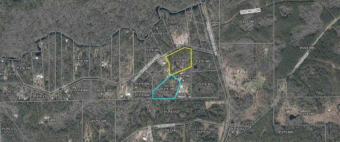 Lamont, FL 32336,0000 Aucilla River Estates Road