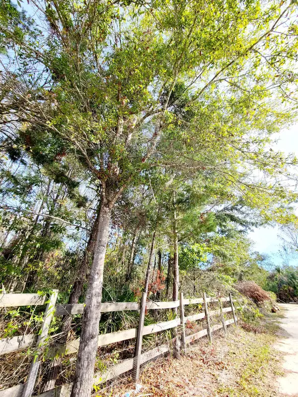 Perry, FL 32348,12592 Strickland Landing Court