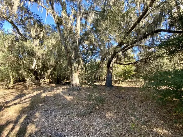 Vacant NE Bittersweet Trail, Madison County, FL 32340