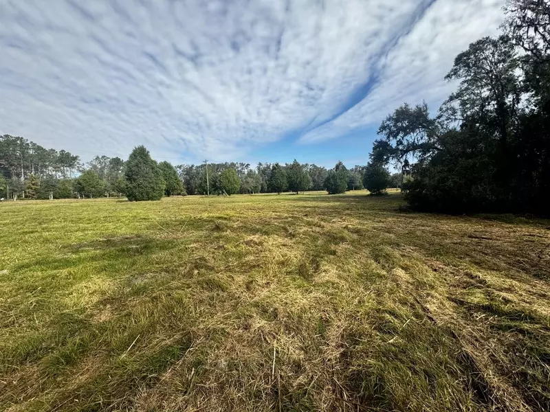 Vacant NW Coachwhip, Madison County, FL 32340