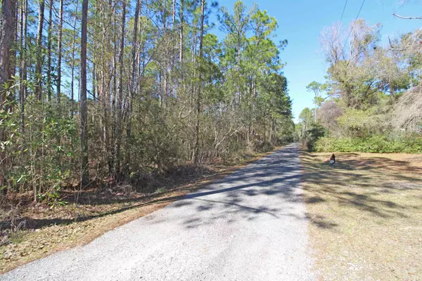 Sopchoppy, FL 32358,xx Buckhorn Creek Road