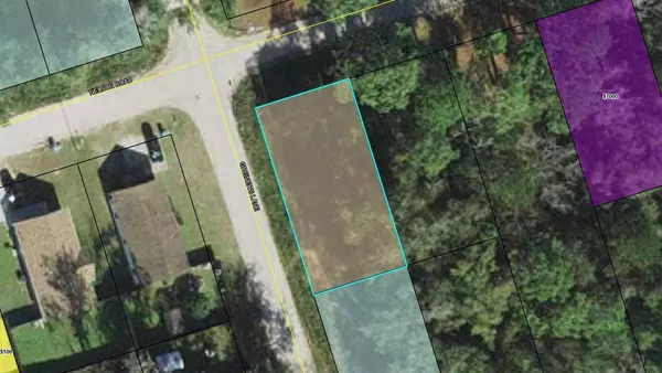 XXX Nelson Road, Crawfordville, FL 32327