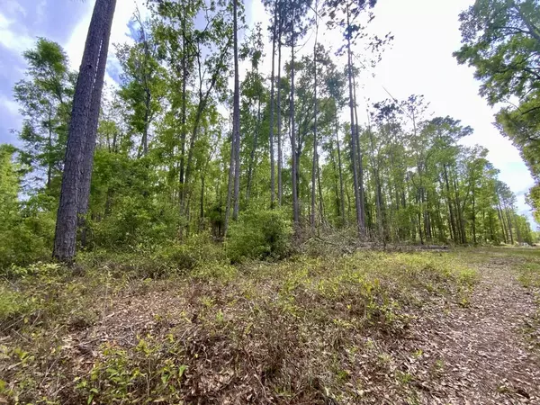 Pinetta (madison County), FL 32350,Vacant NE Raspberry Way