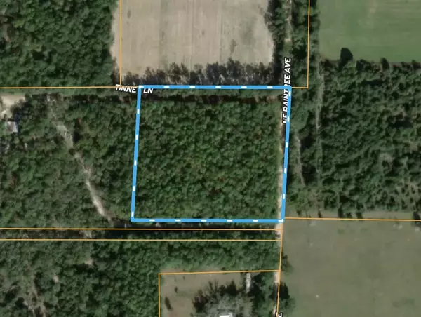 Pinetta (madison County), FL 32350,Vacant NE Raspberry Way