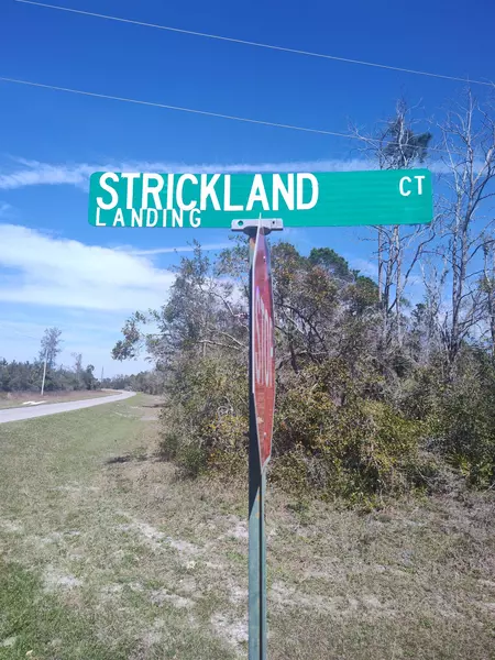 000 Strickland Landing Ct, Perry, FL 32348