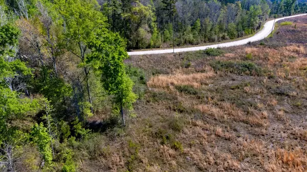 Lamont, FL 32336,Salt South Road