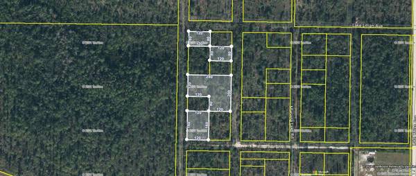 TBD NW Compass Lake Avenue, Altha, FL 32438