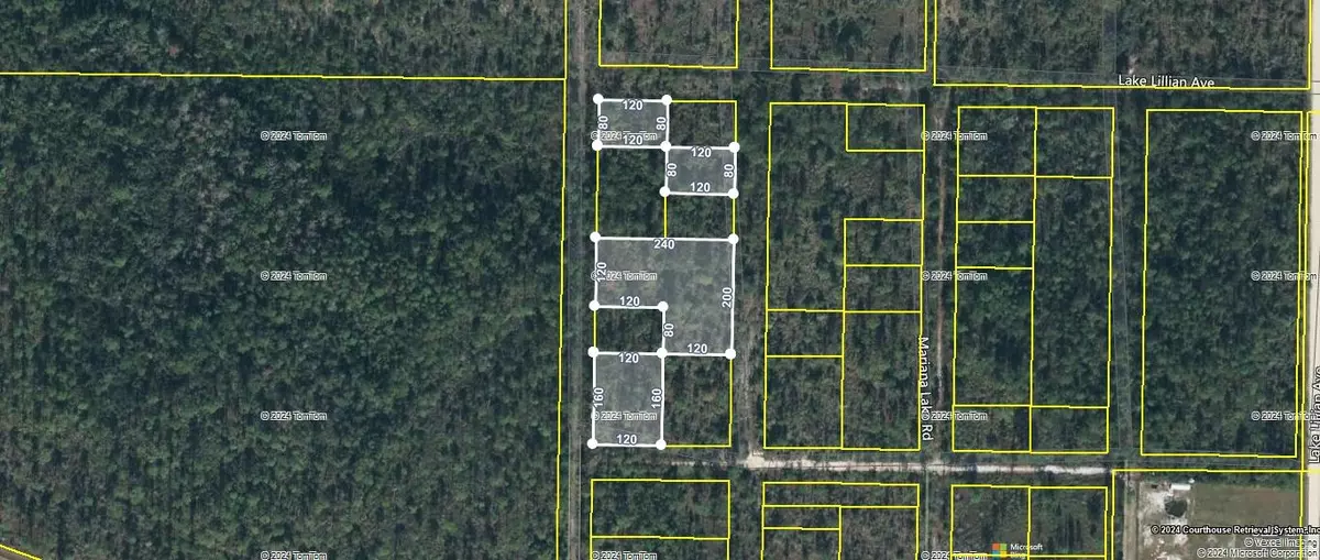 Altha, FL 32438,TBD NW Compass Lake Avenue