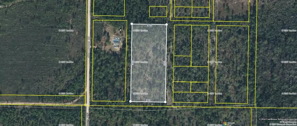 Altha, FL 32438,TBD NW Marianna Lake Avenue