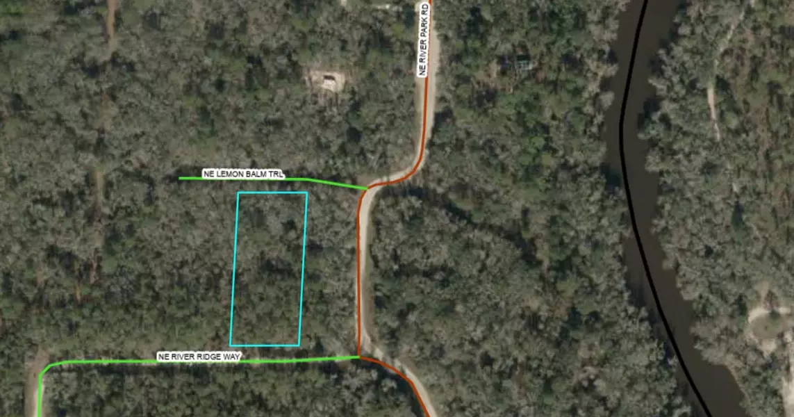 Vacant NE Lemon Balm Trail, Lee, FL 32059