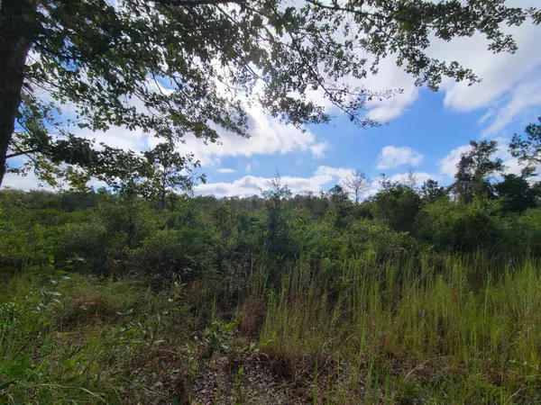 Greenville, FL 32331-0000,00 SW Wabasso Terrace