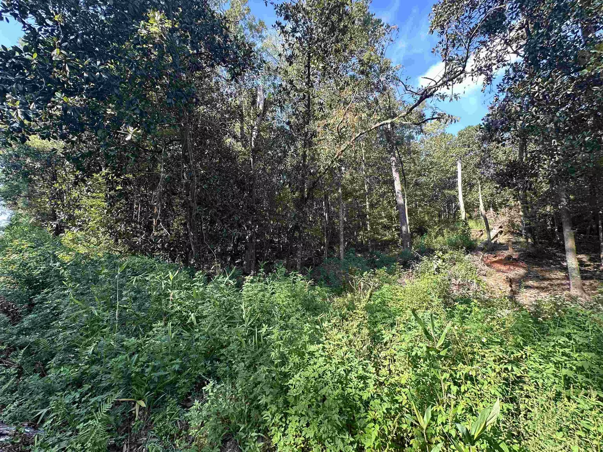 Quincy, FL 32351,Lot 6 Kant Circle