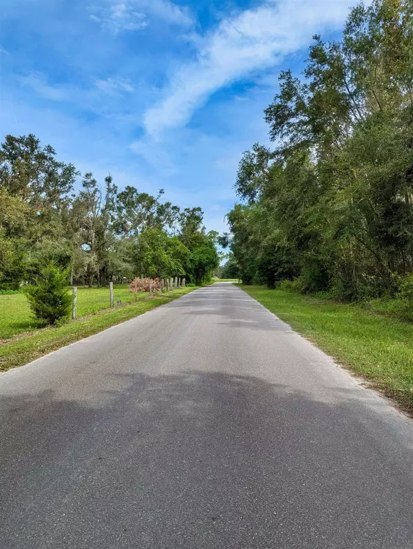 Mayo, FL 32066,3 TBD