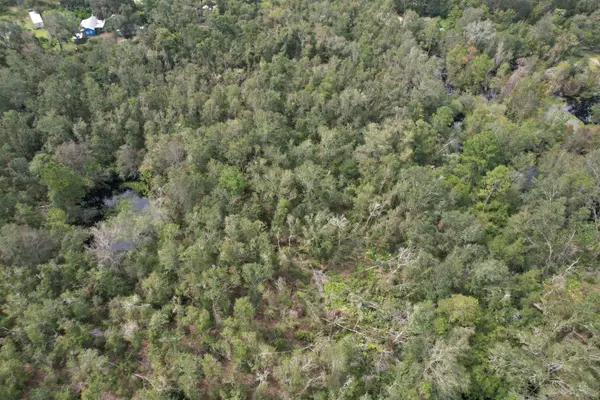 4 TBD, Mayo, FL 32066