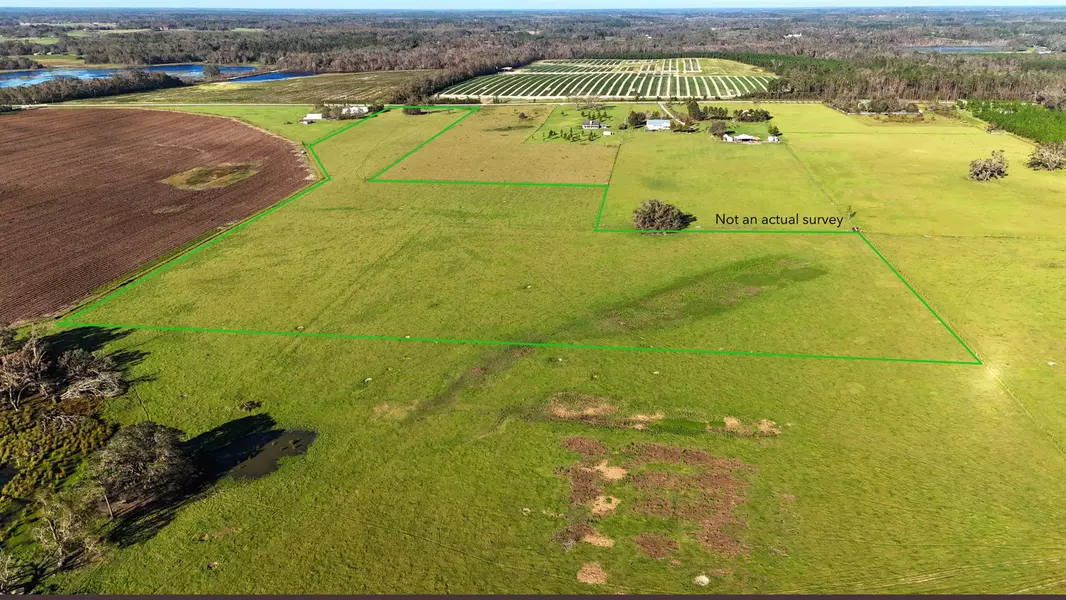 6800 NE Rocky Ford Rd, Madison County, FL 32340