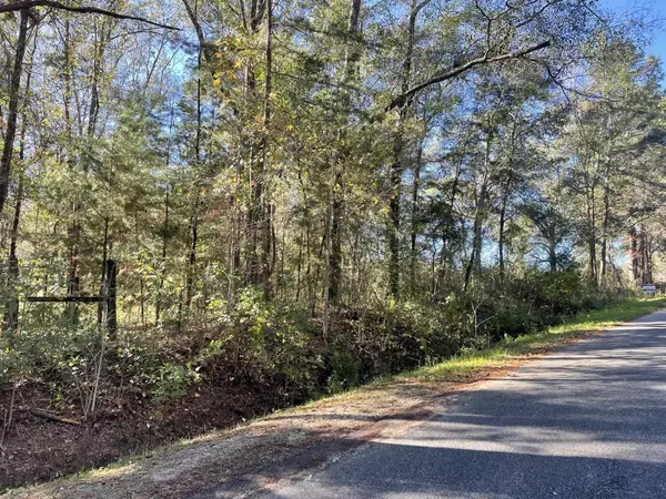 Havana, FL 32333,lot 31 Red Fern Road