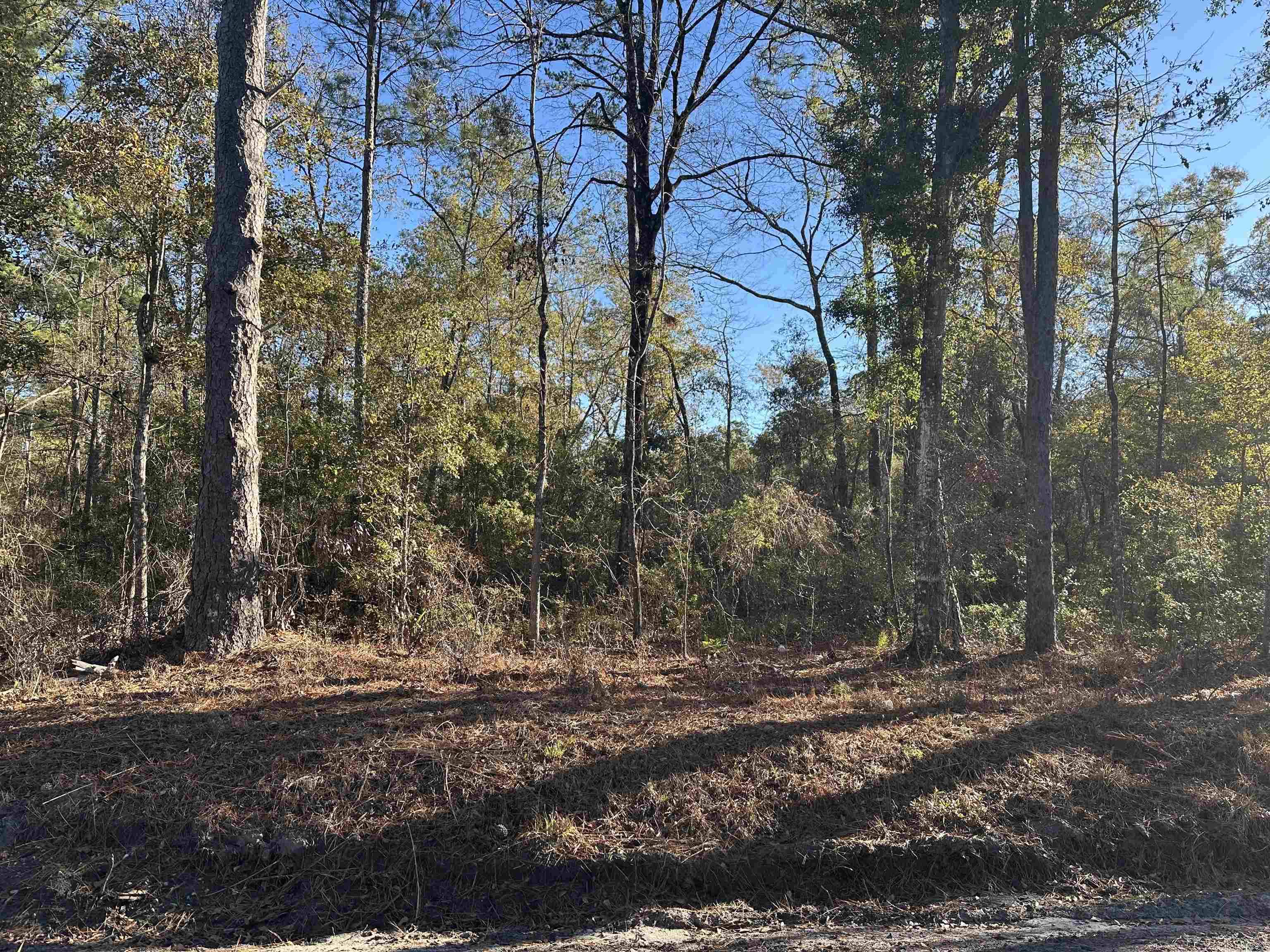 Choctaw Road, Crawfordville, FL 32327