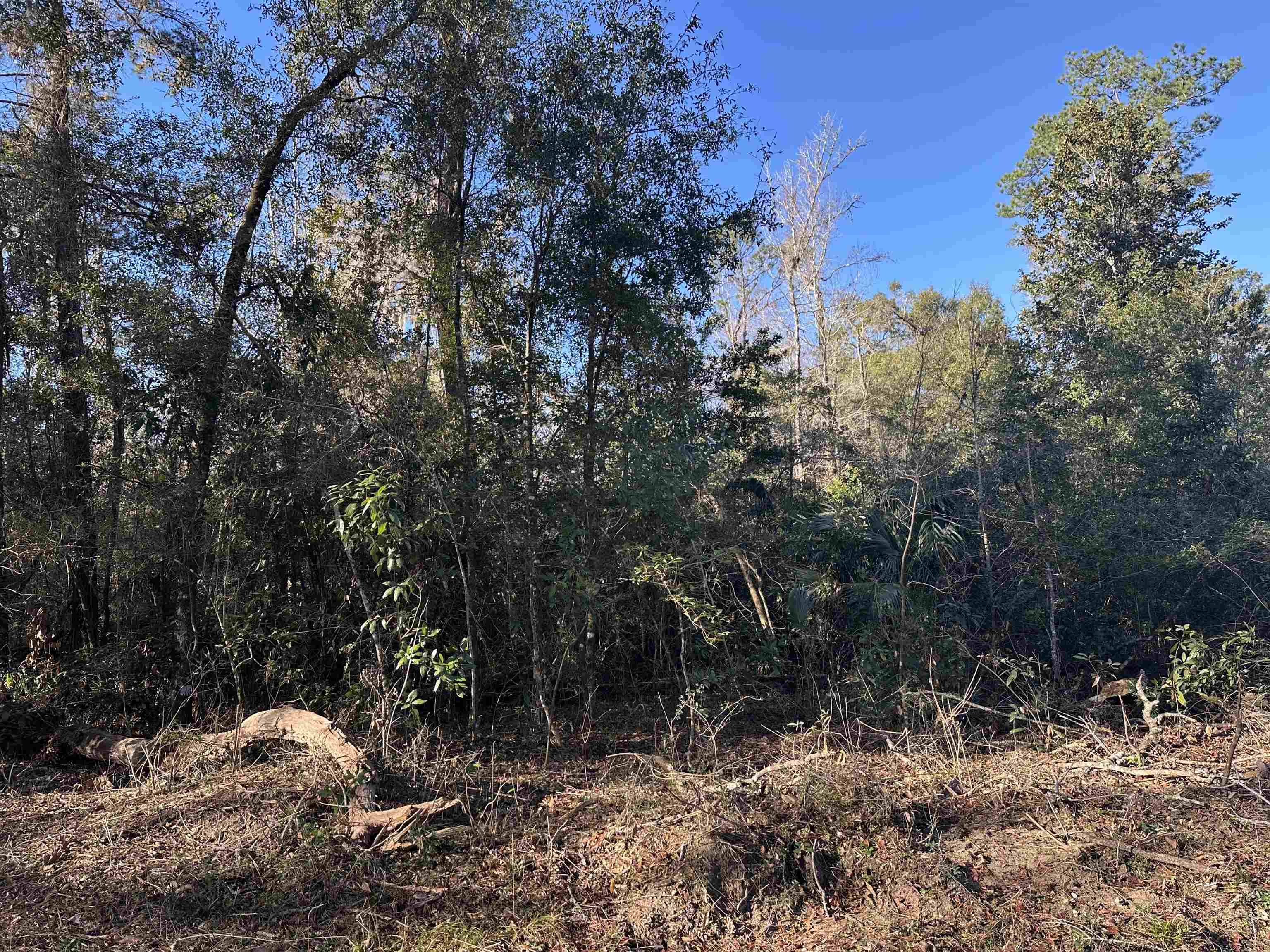 Lot 58 Iroquois Road, Crawfordville, FL 32327