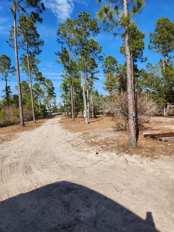 Bristol, FL 32321,xxx NW SR 20