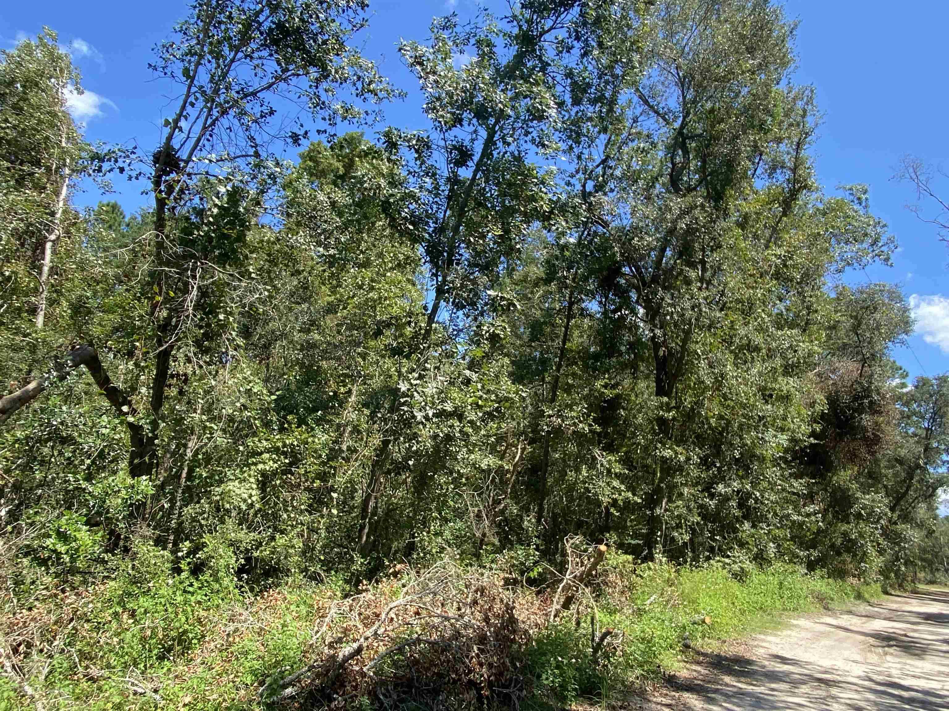 Vacant NE Withlacoochee Shores Lane, Lee, FL 32059