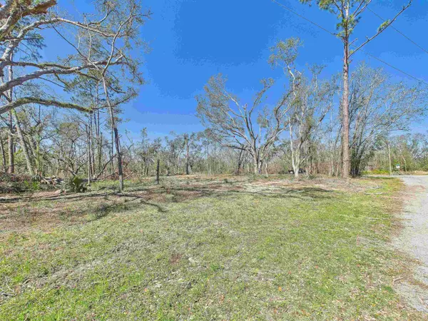 Perry, FL 32347,00 Canopy Lane