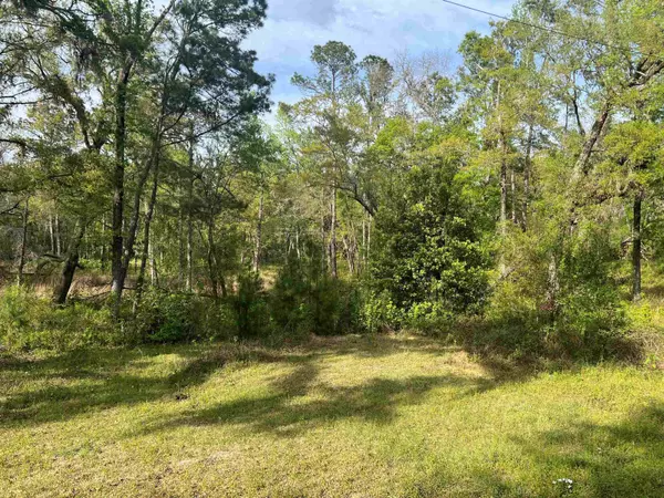 Monticello, FL 32344,523 Silver Lake Road