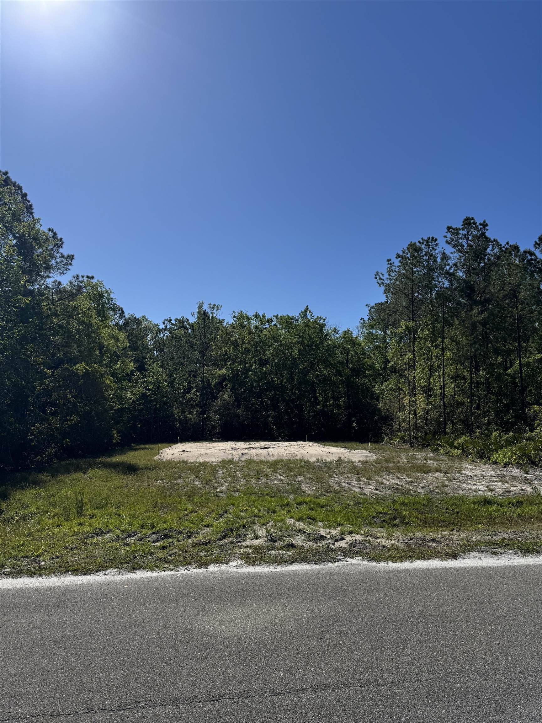 xx Old Palmetto Path, St Marks, FL 32355
