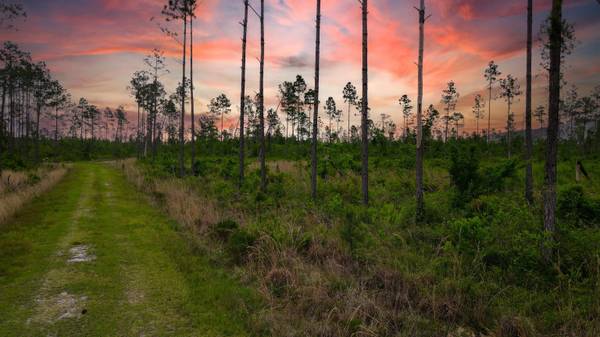 Lot 50 Circle Block Loop Loop, Perry, FL 32348-0000