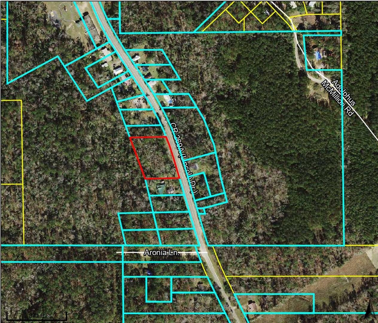 XXX Lincoln Drive, Chattahoochee, FL 32324