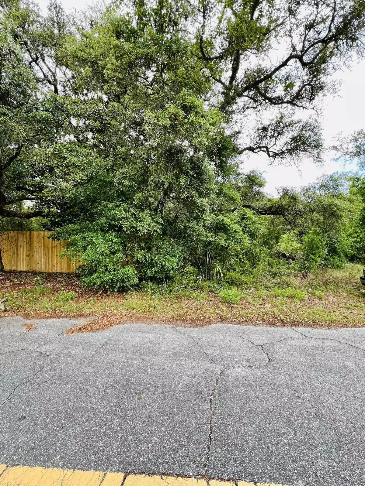 Lanark Village, FL 32323,2519 Palmetto Terrace