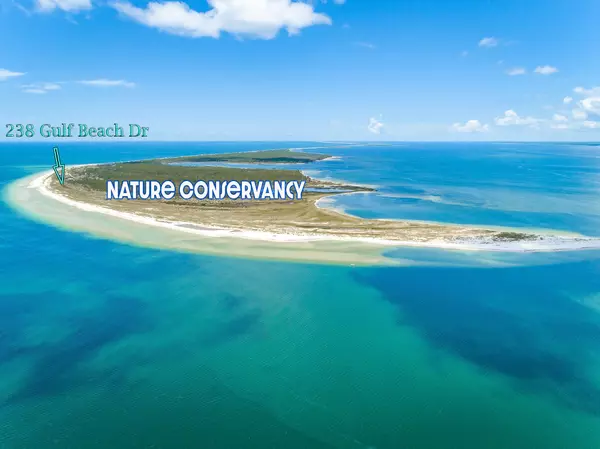 Dog Island, FL 32322,238 Gulf Shore Drive