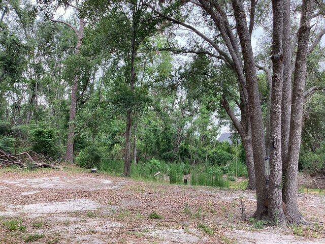 317 SE Centerwood Lane, Lee, FL 32059-5758